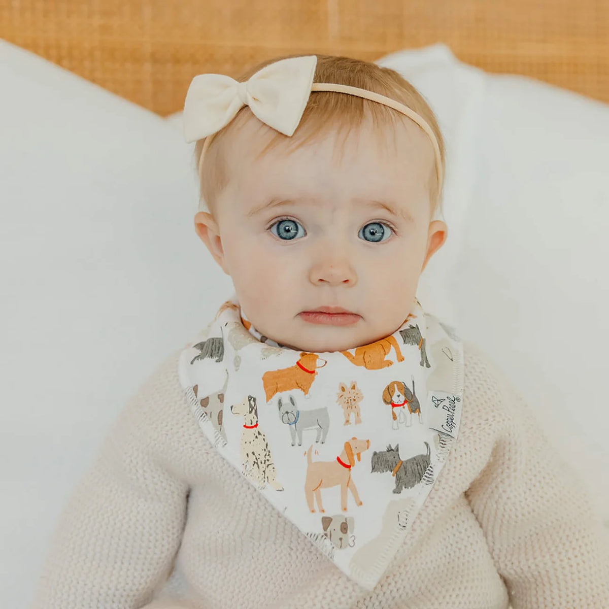 Rufus 4 Pack Bib Set
