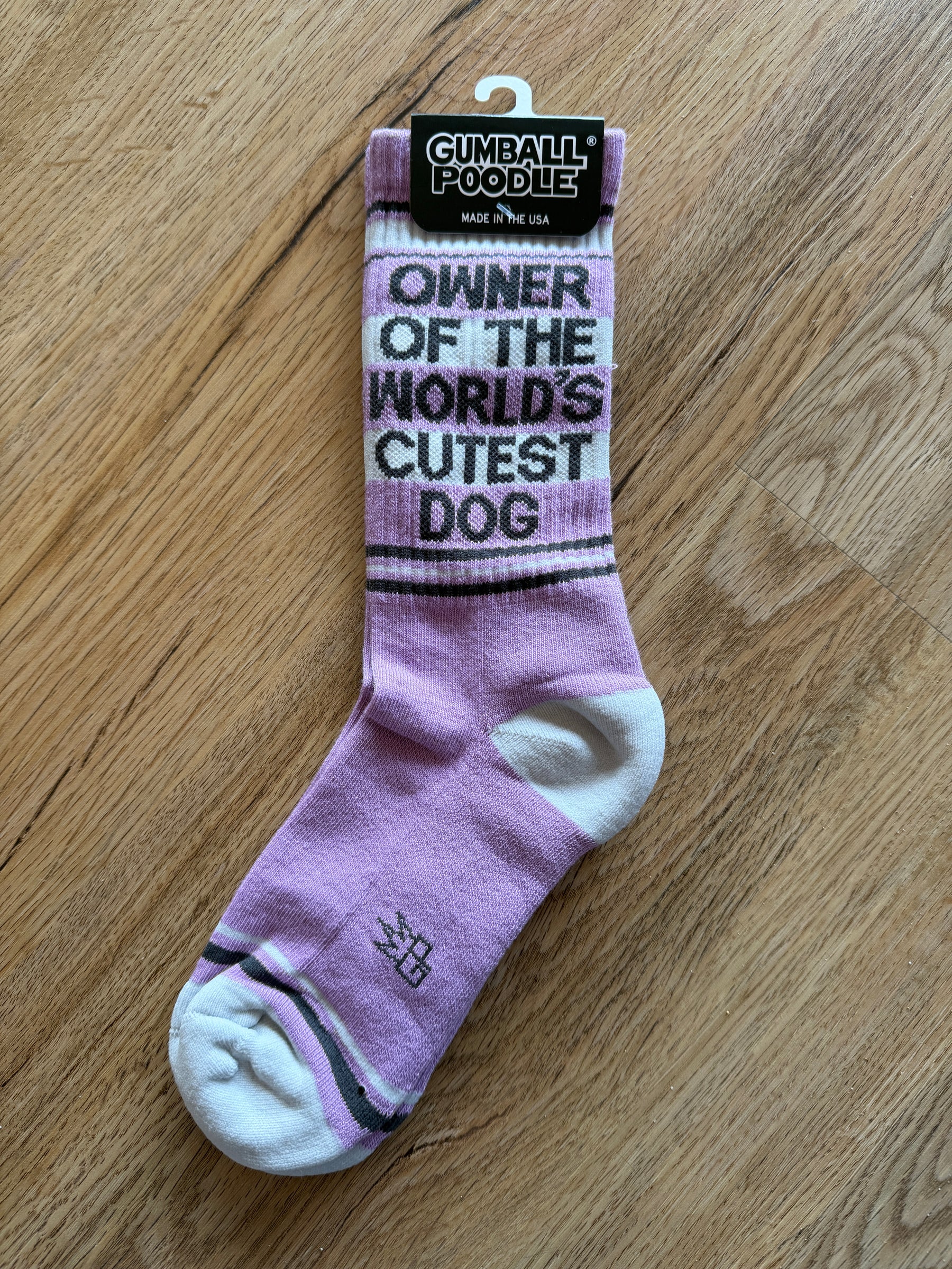 Owner Of The World's Cutest Dog Socks