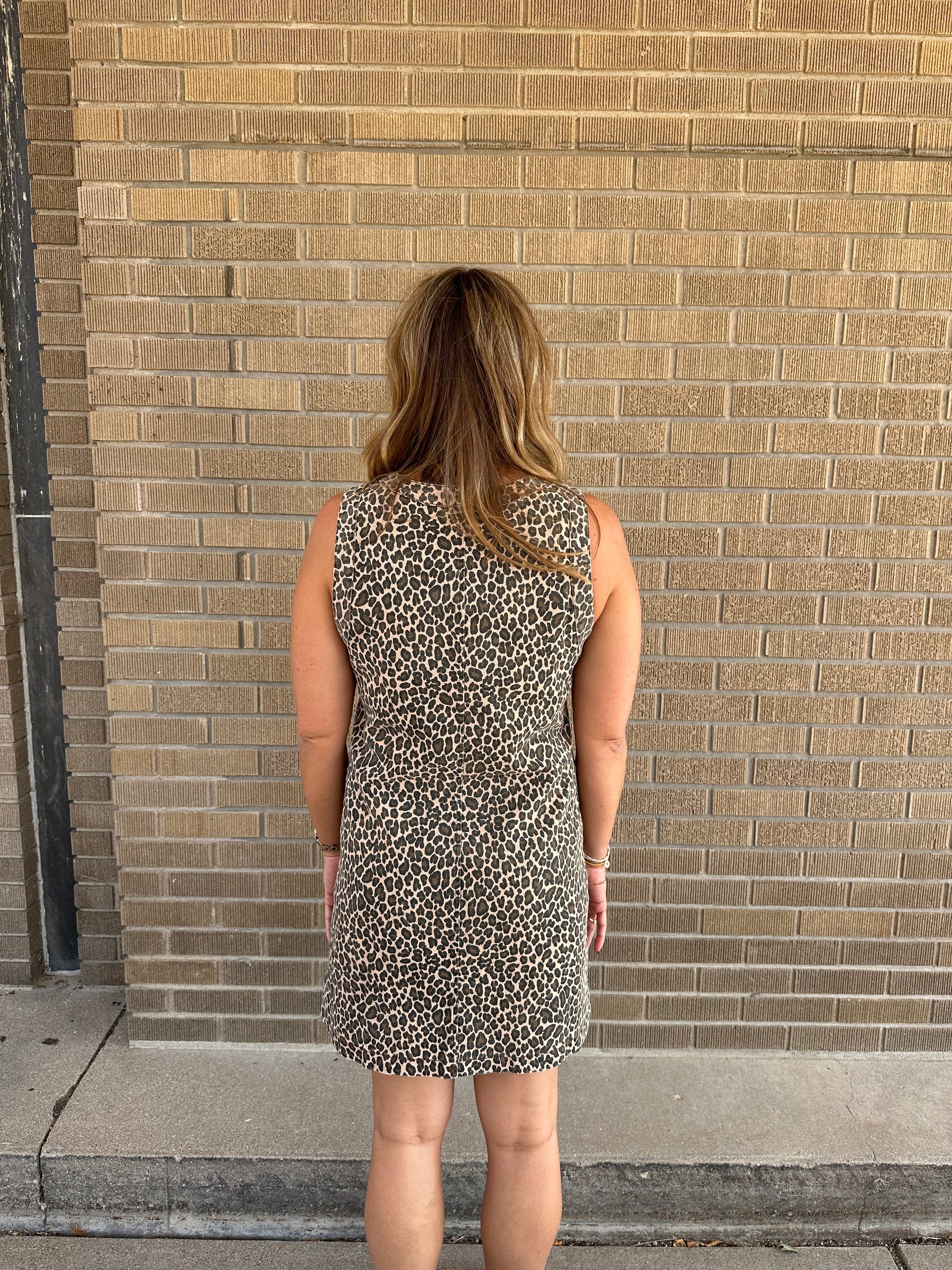 Leopard Mini Dress