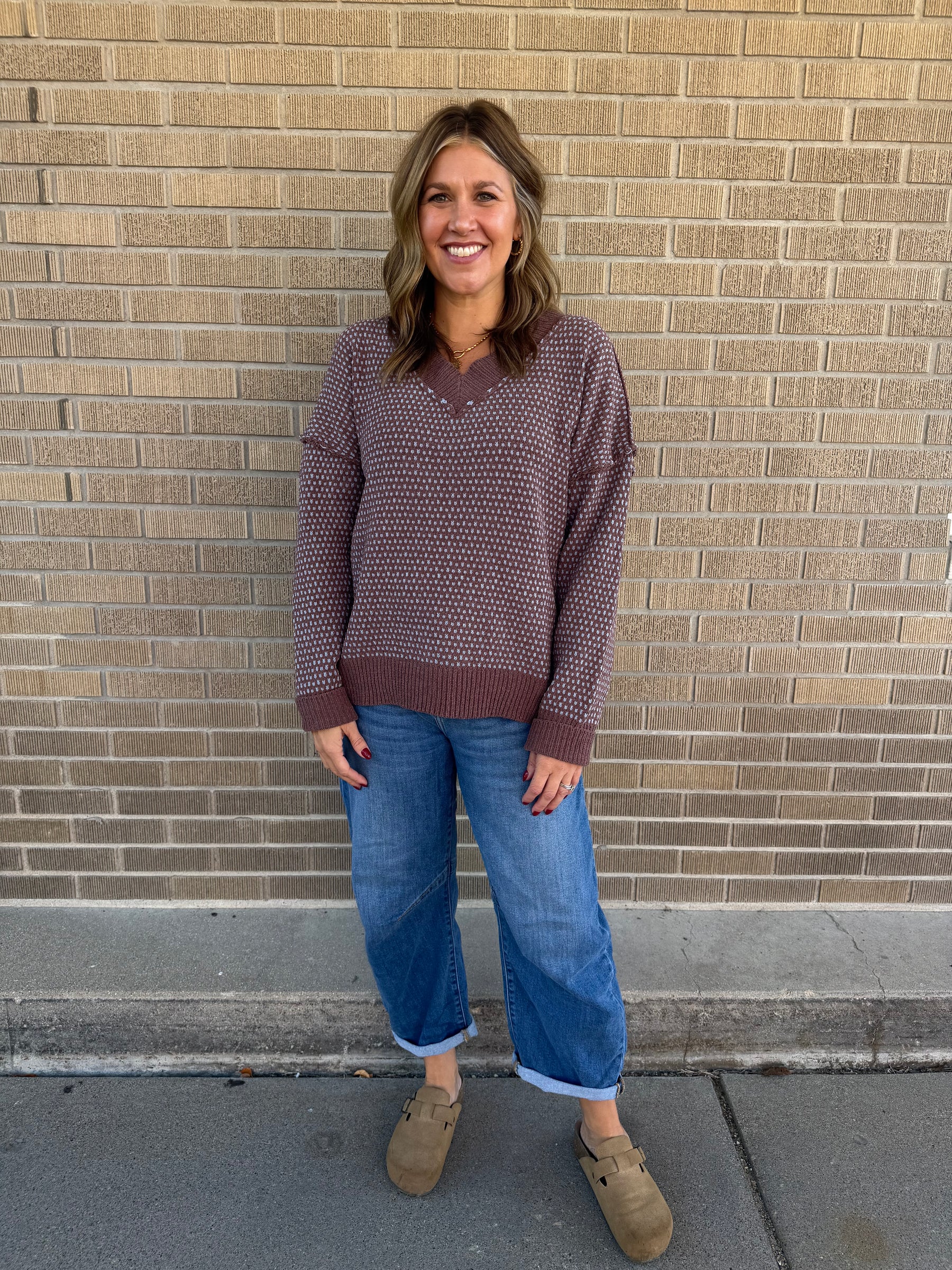 Plush V-Neck Mocha and Blue Sweater