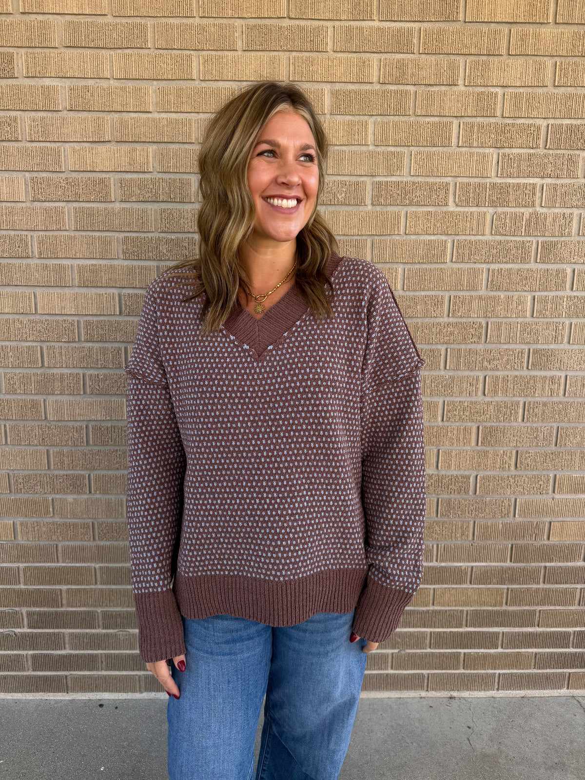 Plush V-Neck Mocha and Blue Sweater
