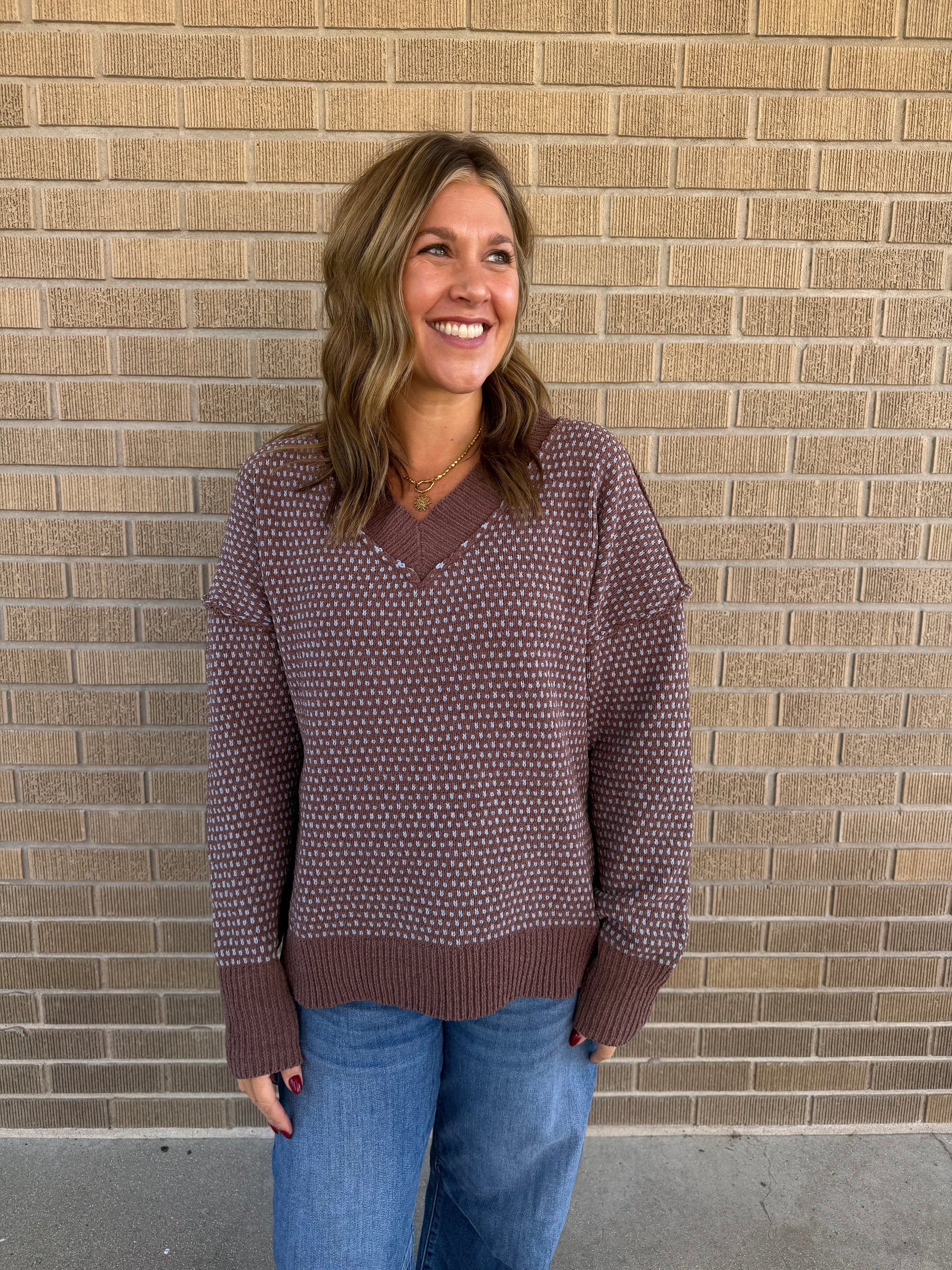 Plush V-Neck Mocha and Blue Sweater