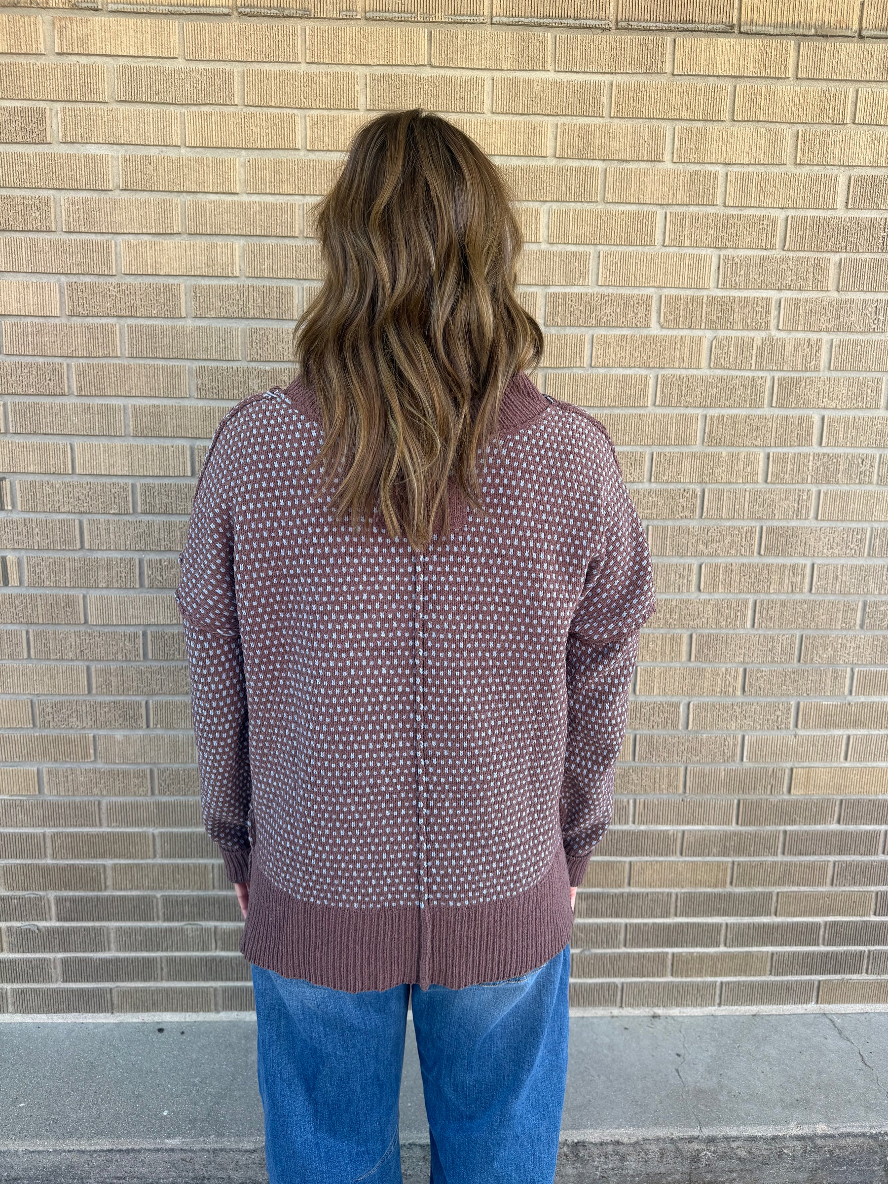 Plush V-Neck Mocha and Blue Sweater