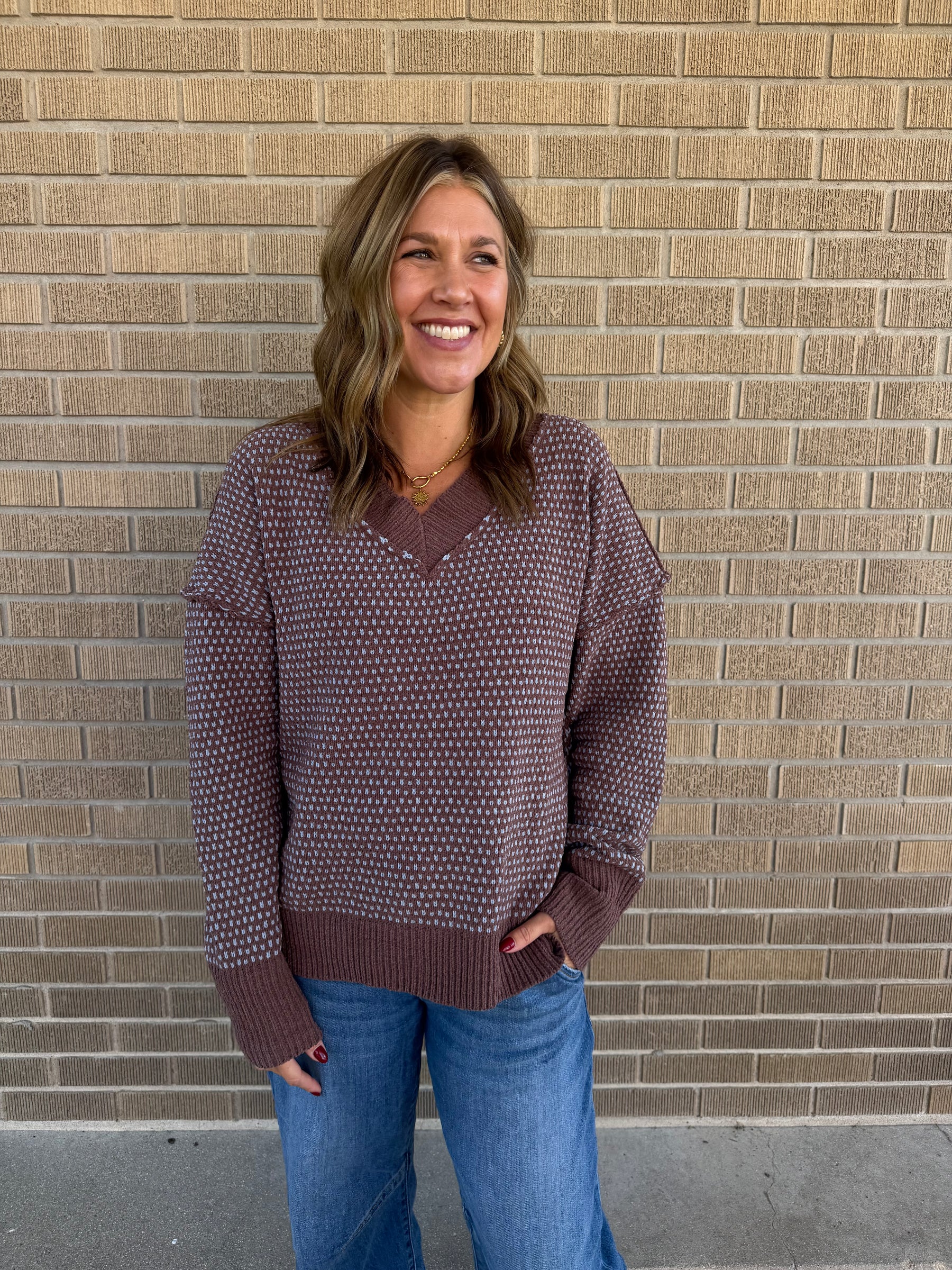 Plush V-Neck Mocha and Blue Sweater