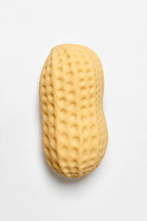 Peanut Squishy